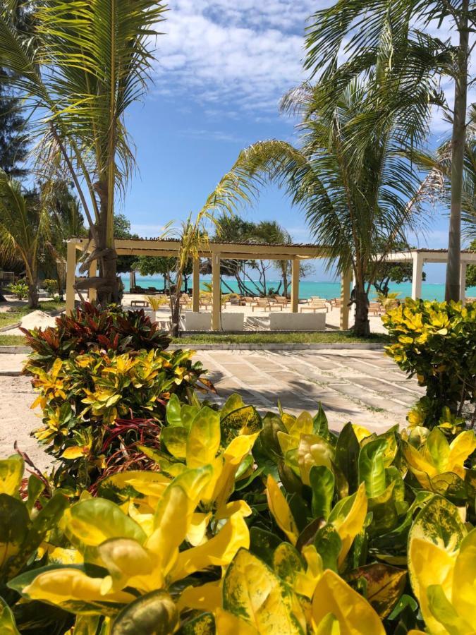 Jambo Hotell